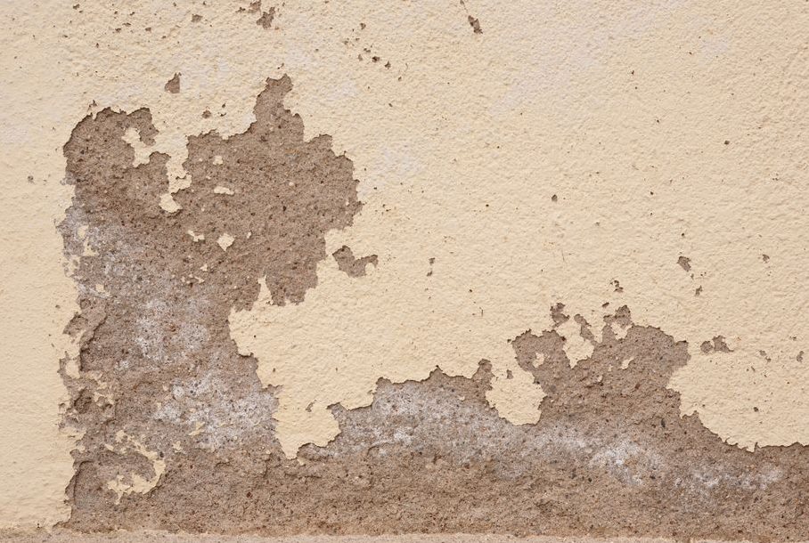 Foundation Repair Insurance in Tallahassee